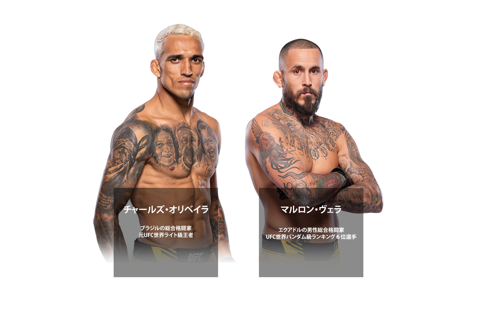 公式アンバサダー